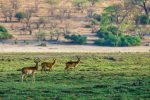 Private Nature Reserve