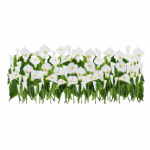 Vinyl Transfer Border Arum Lillies