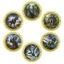 Dinosaur Age Echoes -plated Commemorative Coins Set Gift 6PCS Gold