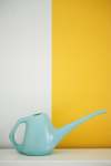 1L Watering Can - Teal