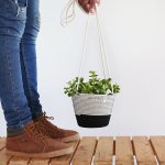 Round Leaf Peperomia - In Liquorice Cotton Cord Hanging Planter