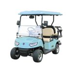 Leroad L2 +2 Ptv 105AH Golf Cart