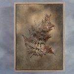 Earthy Ferns 4 Art Print - A3 Framed Canvas With Natural Wood Frame