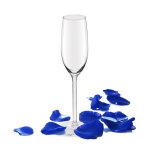 Allure Champagne Glass By Royal Leerdam