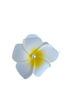 Tropical Soft Flower Claw Clip - Large