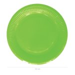 Large Lime Party Plates Pack Of 20