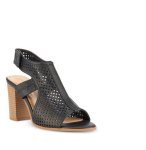 Dutch Black - 7