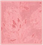 30 Cm X 30 Cm Kirstenbosch Face Cloth Cotton Face Towel