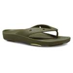 Classic All-terrain Flip - Aloe M13