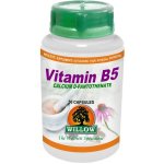 Vitamin B5 -calcium D-pantothenate By Willow