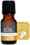 Ginger Essential Oil