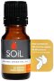 Ginger Essential Oil