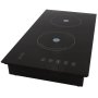 2-PLATE Induction Stove