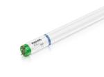 Phillipstube 15W S p Phillips Long Life Actinic Each