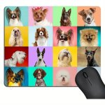 Desktop Mouse Pad – Dog DMP4