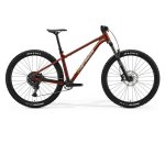 Big Trail 500 2025 - XL