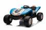 Ladybug Kids Quad Bike 24 Volt