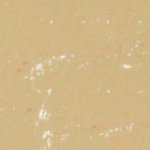 Soft Pastel - Cool Tan Green 501