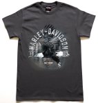H-d Goldrand Dealer T Shirt -HDR40291499