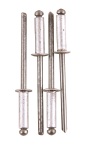 Fragram Aluminium Rivets 100 Piece - 4.8x12mm