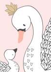 Swan Love - Acrylic Wall Print - 600MM X 600MM