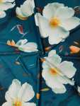 Printed Bon Bon 150CM Clearance
