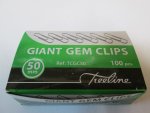 Treeline Clips Paper 50mm Silver 100's