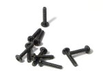 – Tp. Binder Head Screw M3X15MM 10PCS