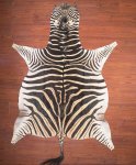 A Grade Zebra Hide 023 M