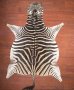 A Grade Zebra Hide 023 M