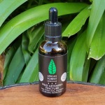 Wild Artemisia Tincture African Forest Medicinals