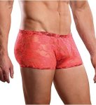 Neon Lace Double Pleasure Short - Coral