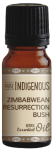 Pure Indigenous Zimbabwean Resurrection Bush Essential Oil Myrothammus Flabellifolia