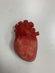Halloween Bloody Heart