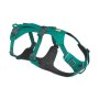 Flagline Harness - Xxs & XS - XX Small / Meltwater Teal