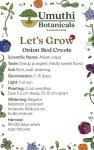 Umuthi Onion Red Creole Growing Seeds