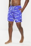 Hurley Cannonball Volley 17" Boardshorts - Duck Egg