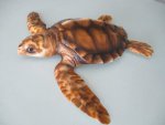 Turtle TT3016