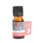 Organic Grapefruit Essential Oil
