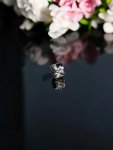 Pandora Butterflies Clip Charm