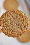 Cookie Concentrate - 10ML