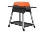 Force 2 Burner Gas Braai With Stand Orange