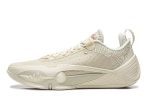Li-ning Wade All City 14 Men's Basketball Shoes Lightweight High Rebound Basketball Professional Match Shoes Rice Paper White Us