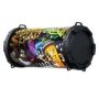 Amplify Pro Cadence Series Speaker - Graffiti