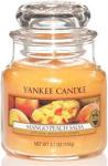 Candle Mango Peach Salsa Small Jar Retail Box No Warranty   Product Overview The Traditional Design Of Our Signature Jar Candle