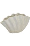 Clam Shell Vase