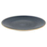 Speckled Blue Dinner Plate 26.7CM