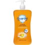 Guardol Hygiene Hand Wash Turmeric & Lemon 510ml