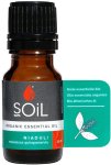 Niaouli Essential Oil