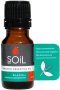 Niaouli Essential Oil